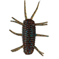 Smith Sink Spider fishing lure designed with segmented brown body and multiple flexible legs featuring black and blue speckles for realistic aquatic insect imitation.