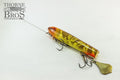 Smity Flaptail (7217101185)