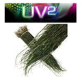 Spirit River UV2 Peacock Eyes showing bundles of iridescent green and brown peacock herl fibers used for fly fishing lure tying, highlighting vivid UV-reactive colors.