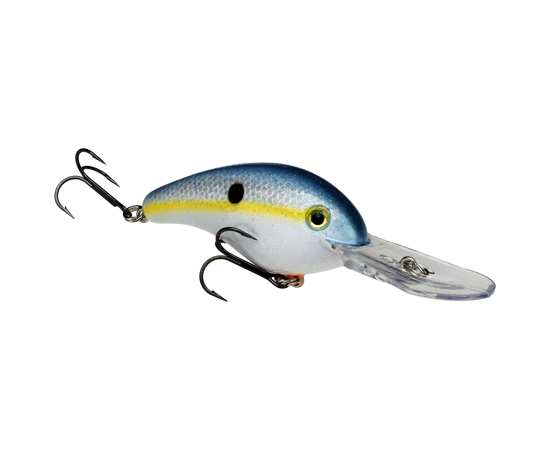 Sexy Shad