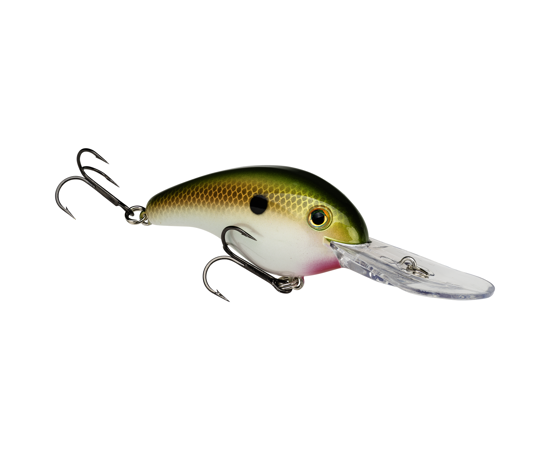 Tennessee Shad