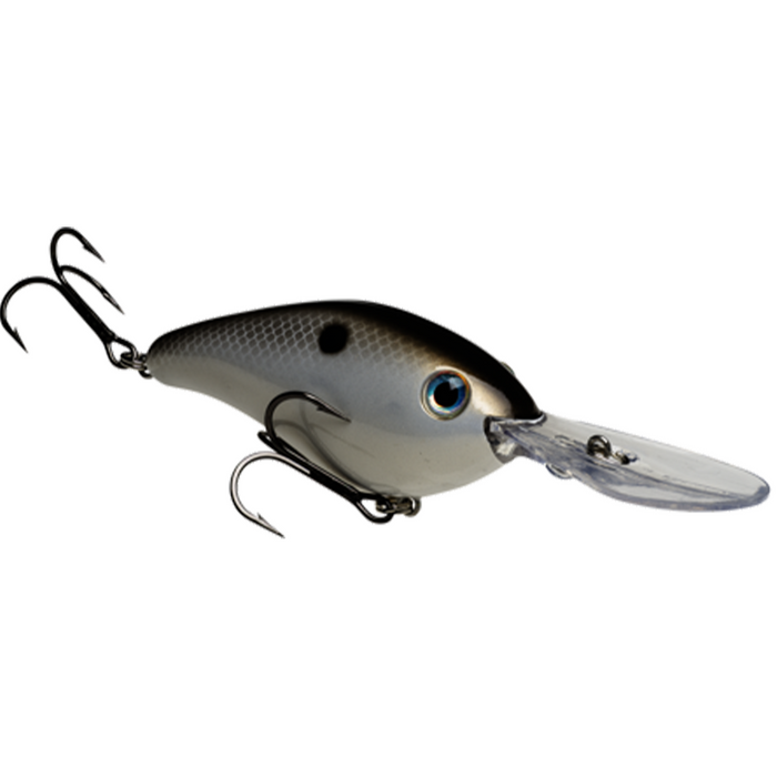 HC6XDHK / Gizzard Shad