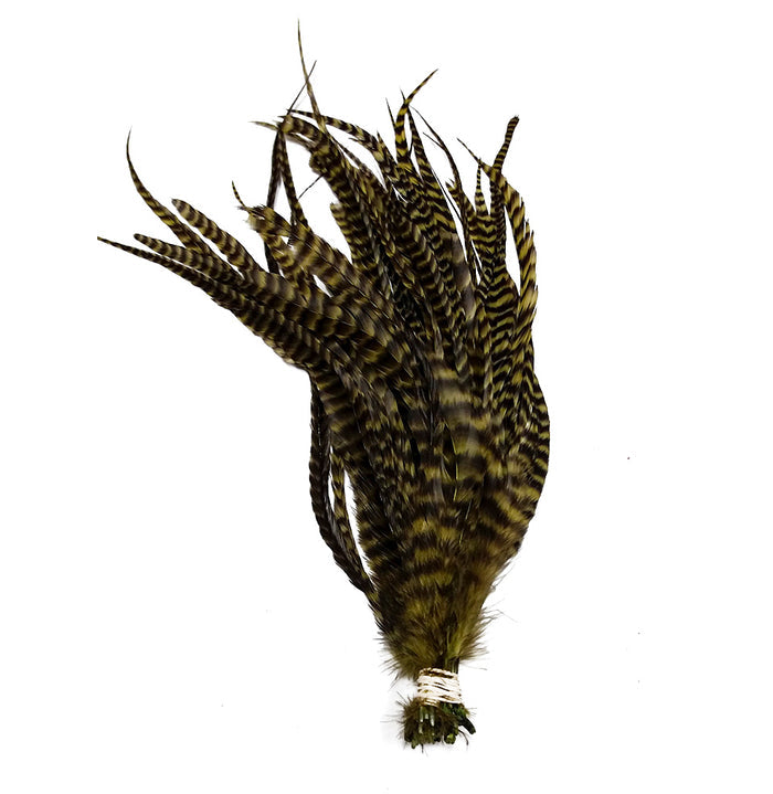 Whiting Schlappen 6"-10" Bundle showing a tied bundle of barred, olive-colored feathers used as fly fishing materials for crafting detailed fishing lures.