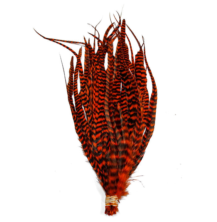 Whiting Schlappen 6"-10" Bundle of vibrant orange and black striped feathers, ideal for customizing fishing lures and fly fishing tackle.