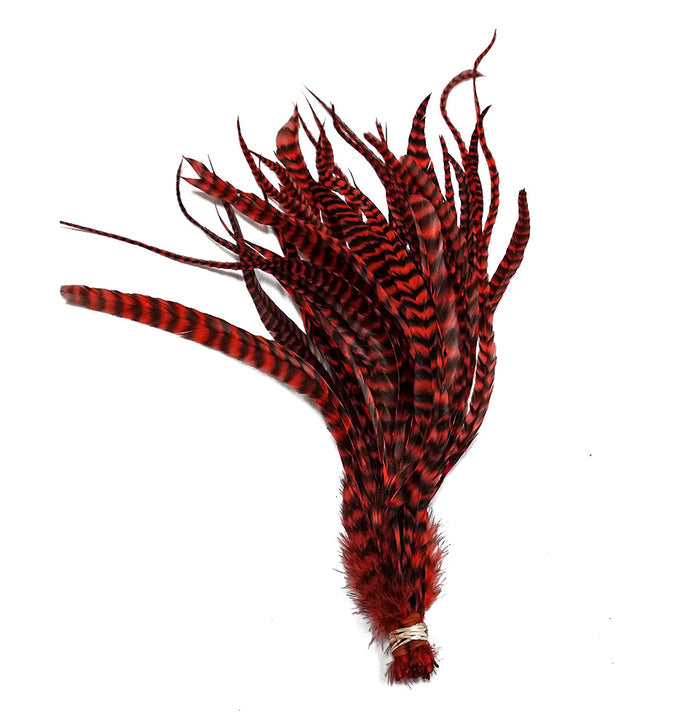 Whiting Schlappen 6"-10" Bundle featuring a collection of vibrant red and black barred feathers, ideal for fly fishing lure customization and detailed fishing tackle projects.