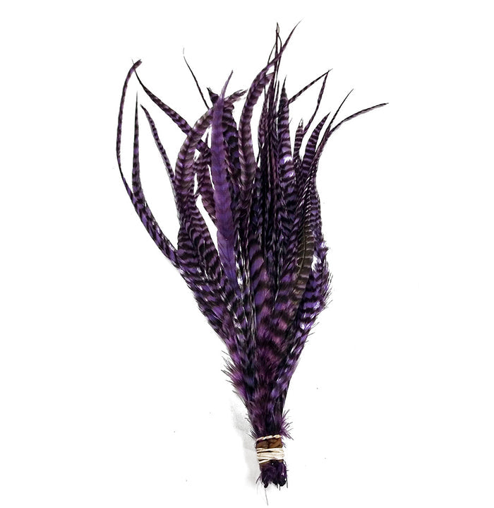 Whiting Schlappen 6"-10" Bundle featuring long, slender, grizzly-patterned feathers with purple accents, ideal for fly fishing lure and tackle customization.