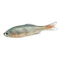 YG.Labo Witch Flat Real 3.3" soft fishing lure designed to mimic a small baitfish with realistic color and texture for effective fishing tackle use.