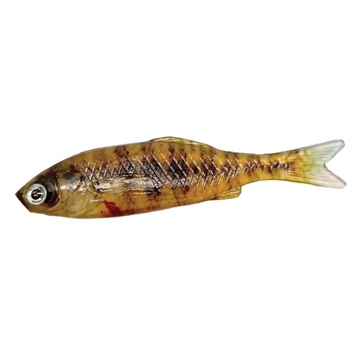 YG.Labo Witch Flat Real 3.3" fishing lure designed to mimic a small fish with detailed scales, lifelike eyes, and a natural brownish-yellow color for effective fishing tackle use.