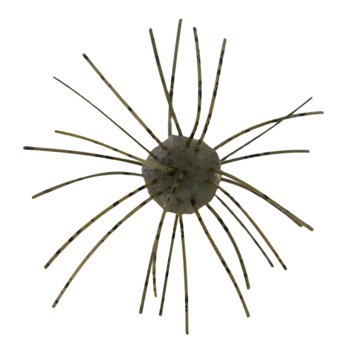 Z-Man Fuzzy Nuggetz fishing lure with a round body and multiple flexible, striped appendages designed to mimic aquatic prey for effective fishing tackle.
